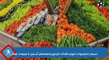 أسعار الخضروات اليوم الثلاثاء تتراجع والطماطم تُسجل 6 جنيهات فقط